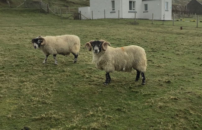 Harris White Cottage - Foto 16