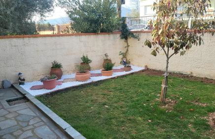 Αυλή της Ελιάς - Foto 24