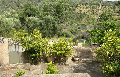 Πυργοσπιτο Χαντζακου - Foto 19