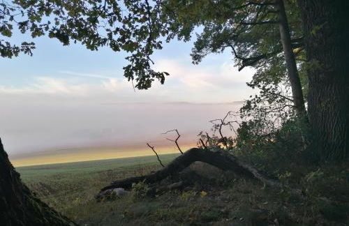 Ferienwohnungen an der Hufeland-Therme - Foto 31