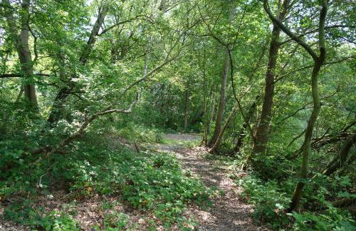 Karins Kotte - Foto 44