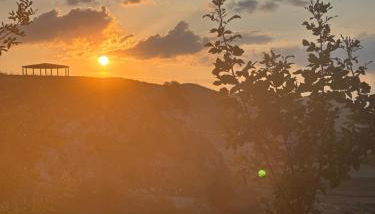 Ciuci's Manor - Photo 5