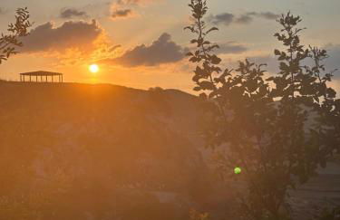 Ciuci's Manor - Foto 5