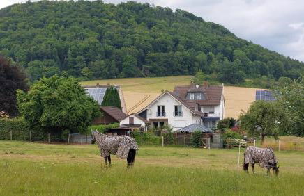 Ferienwohnung MW 4a bis 66 m2 Höxter Weserbergland Weser 1-2P 1SZi mBad 3-4P 2SZi m2Bäder Terrasse Wäsche Endreinigung Self CheckIn - Foto 48