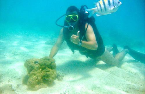 FLAT / APARTAMENTO NA PRAIA DO FORTE - Foto 4