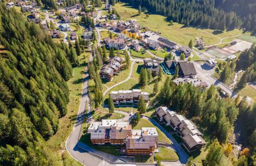 Petit Arnica - Foto 19