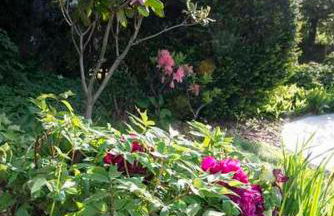 Ferienwohnung Raina - Foto 10