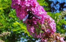 Ferienwohnung am Bruchwald - Foto 18