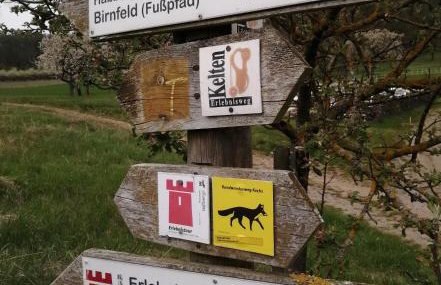 TINYLODGE am Ellertshäuser See - Foto 11