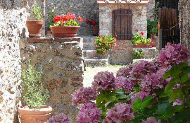 Agriturismo Colli di Travale - Foto 36