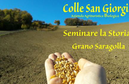 Azienda Agrituristica Colle San Giorgio - Foto 35