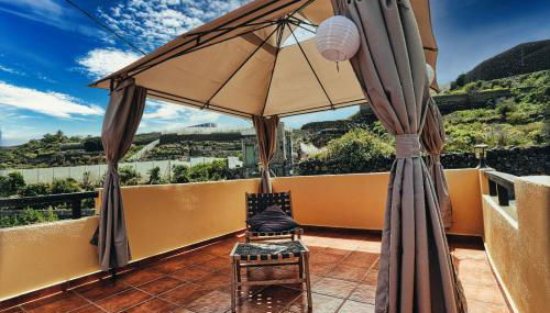 Finca Vino Tinto 1 - Foto 4