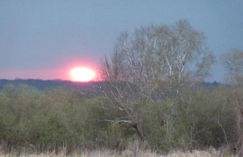 Landhaus Fischersruh Plauer See - Foto 19
