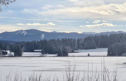 Ferienwohnung Huber am Deutensee - Foto 14
