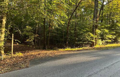 Quiet Forest Vacation home on a Private Road with Spacious Patios, Fire pit, Pet friendly and a Private pool - Foto 44