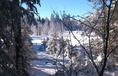 Schwarzwald-Chalet Feldberg - Foto 22