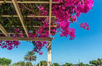 Glaros Kouremenos - Photo 47