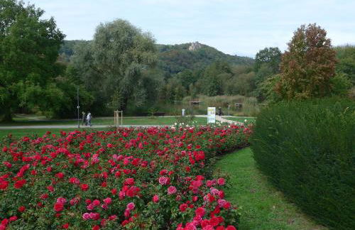 Ferienwohnungen Familie Schwarze - Foto 20