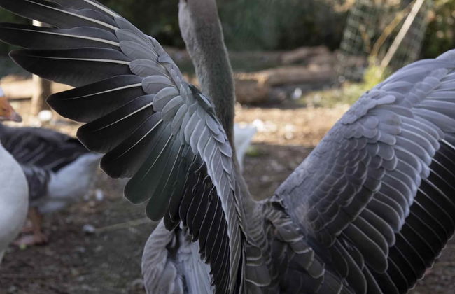 Casale Della Pergola Eco-friendly by the sea - Foto 67