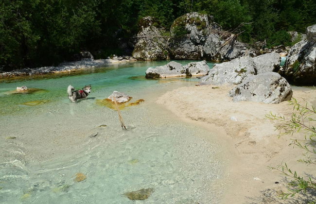 Soča Home With The View - Foto 58