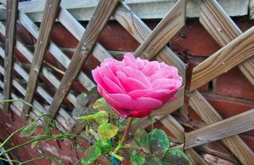 A Home Away From Home - Photo 24