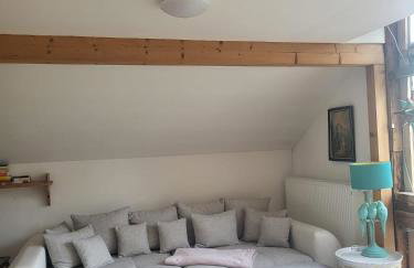 Großzügiges Studio-Apartment Siegblick 70qm mit XXL Balkon - Foto 3