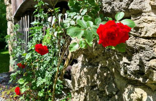 Haus am Bach - Foto 13