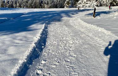 B71 - Appartement im Herzen des Schwarzwalds - Foto 17