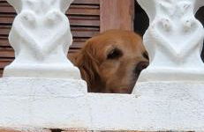 Estação Brotense - Casa com piscina e fogueira exclusiva - Foto 40
