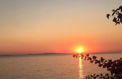 LEMONELIA, one big,4-5 people and one small apartment ,2-3 people - Foto 23