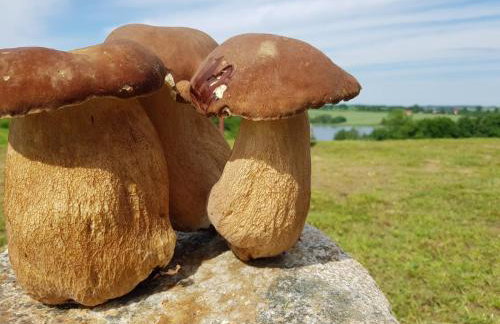 Miła Dolina - Foto 39