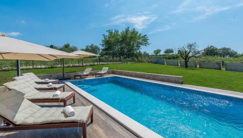 Terra - Foto 4, Other