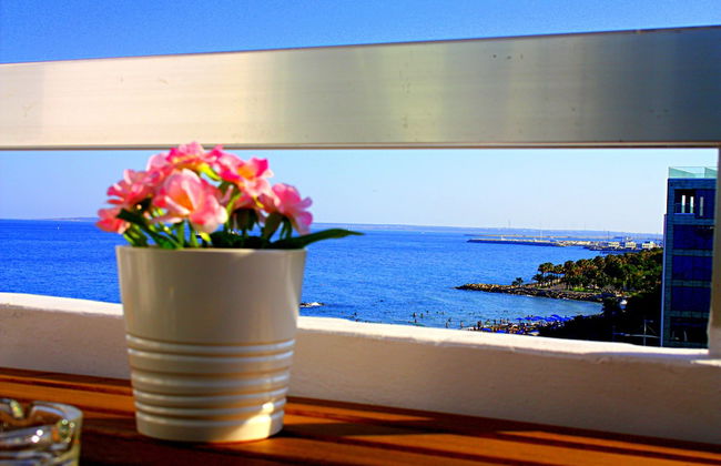 Panoramic Blue - Foto 1