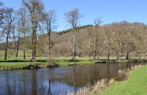 Crogen Wing - Photo 18