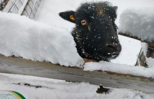 Innertrein - Photo 54