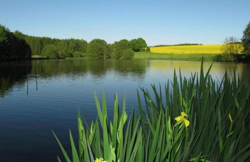 Ferienhaus in Vogtland - Foto 54