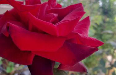 Apartman Nena - Foto 52