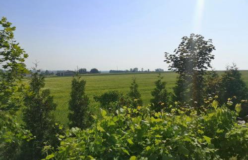 Pensjonat Ślepowron - Foto 43