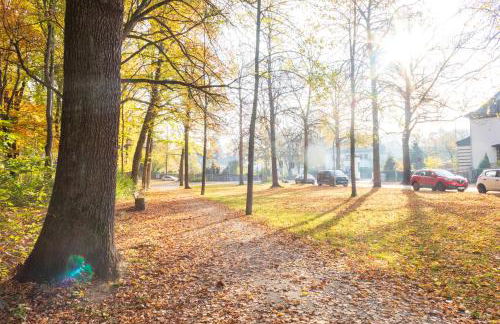 StadtNatur Apartment am Küchwald - 2 SZ mit Balkon, WASCHMASCHINE, Streaming-TV, Badewanne, Arbeitsplatz - Foto 20