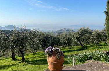 Podere il Poggio - Foto 12