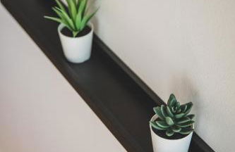 Gulfhof Boomgaarden 4 Boomgaarden 4 Aafke - Photo 25