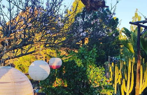 Tenerife Nature Retreat - Foto 9