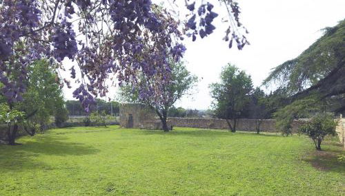 Casa Baraldés - Foto 5, Garden, Garden view