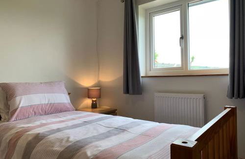 Buena Vista - Foto 17