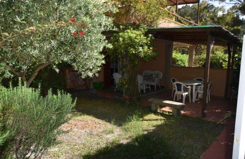 Susy, vicino alla spiaggia di Fetovaia - Foto 3