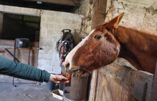 La Demeure de la Poterie, Wimille & Wimereux - Foto 62