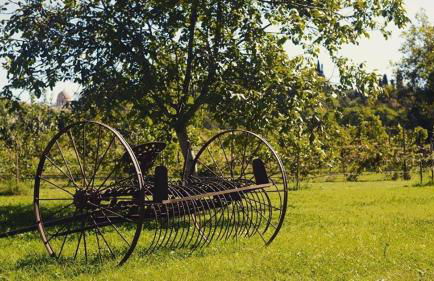 Solimago Dimora Storica - Foto 66