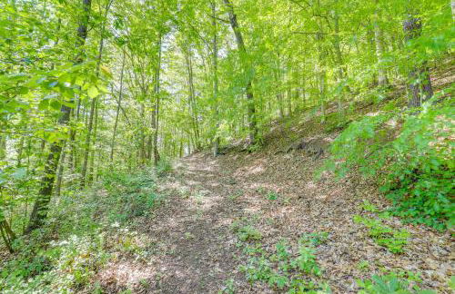 Mtn Views and Epic Sunsets Private Weaverville Home - Foto 36