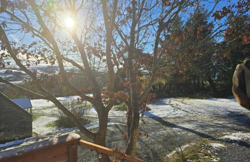 Luxury Welsh wooden cabin - Foto 6