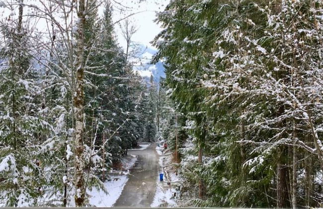 Packwood Ski & Vacation Getaway - Foto 44
